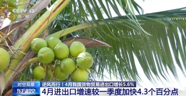 国外贸进出口表现亮眼背后的底气AG真人登录入口关税战下 中(图5)